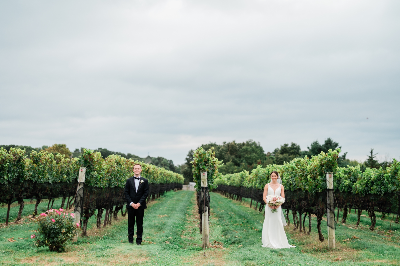 A bride and groom stand in the vineyards at Jonathan Edwards Winery, an outdoor wedding venue in New England