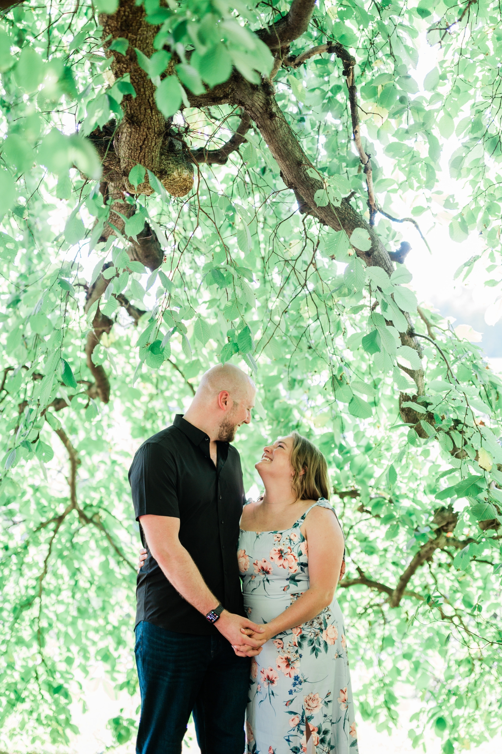 A couple stands beneath a weeping willow tree at a botanical garden in Northampton, Massachusets