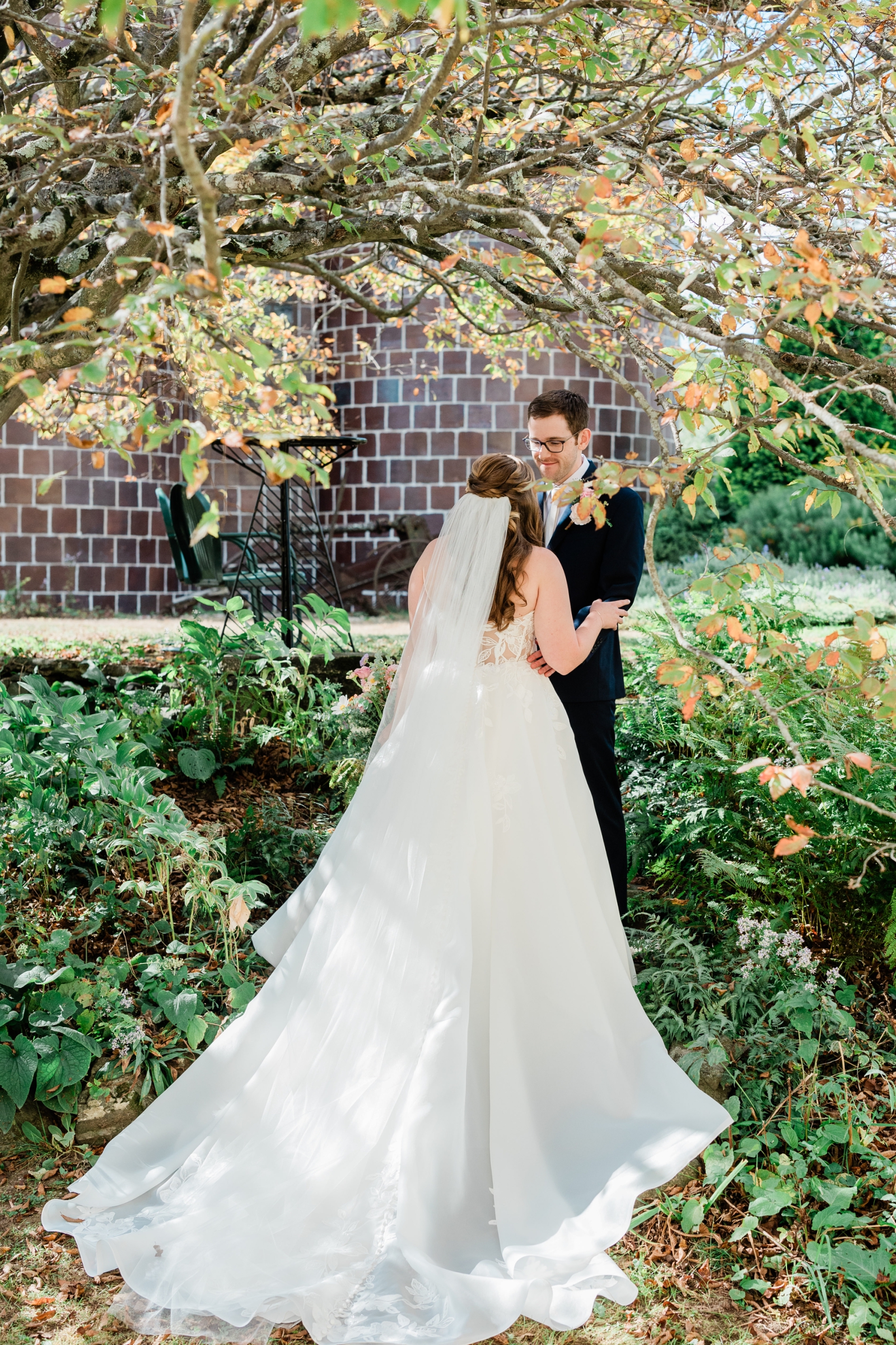 A bride and groom stand beneath an autumn tree at Quonquont Farm in Whatley, Massachusets