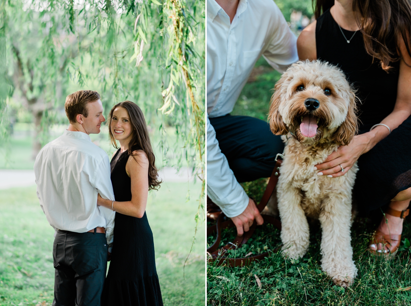 An engagement session in a public park in Boston with a golden doodle
